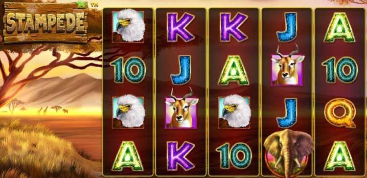 Slot game Stampede Fun88