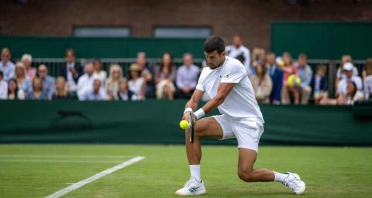 tay vợt tennis