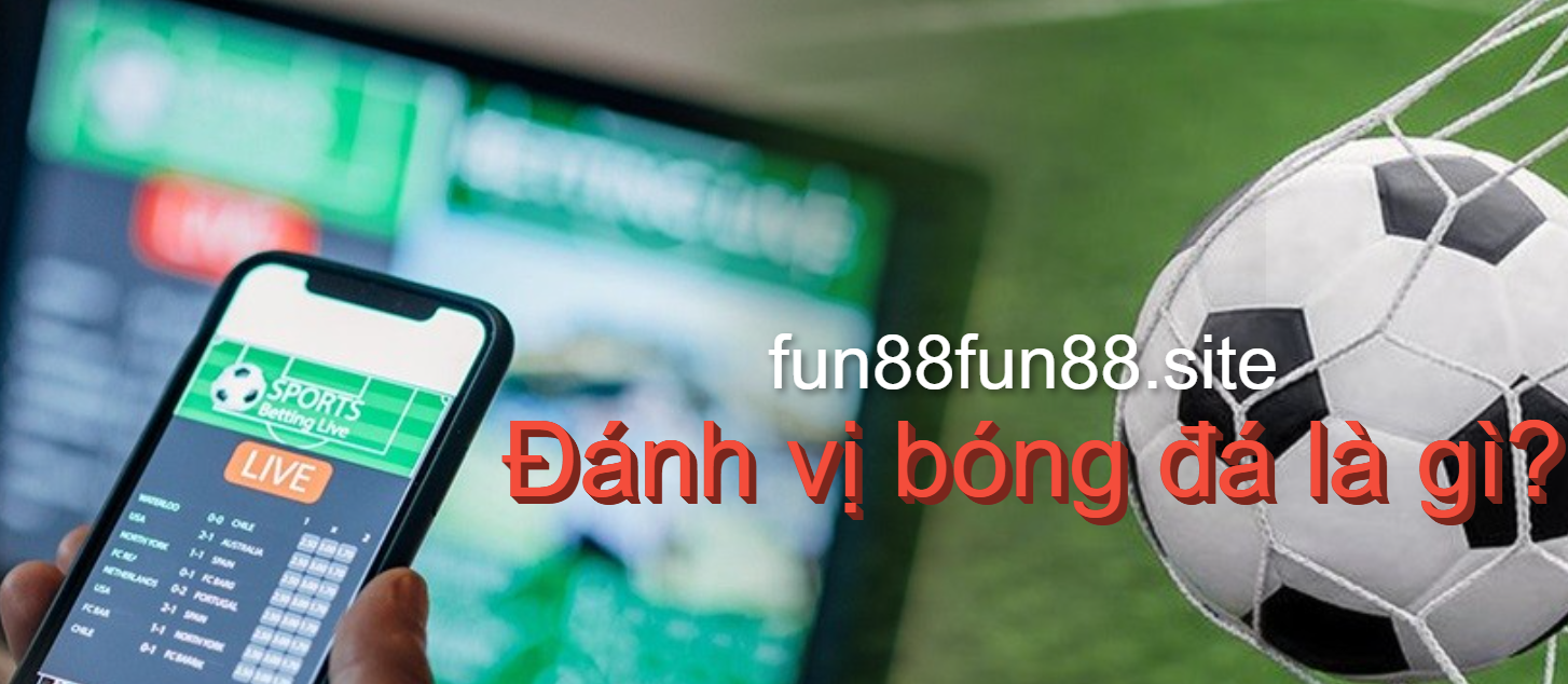 Giải thích đánh vị bóng đá