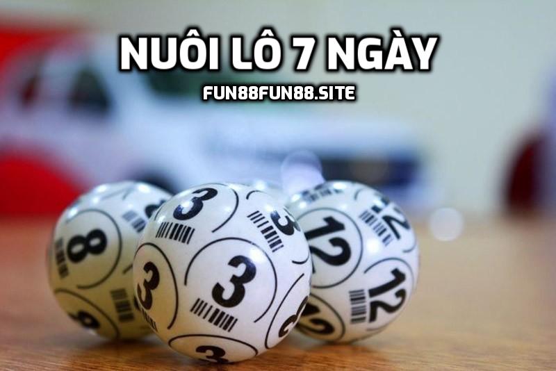 Nuôi lô 7 ngày