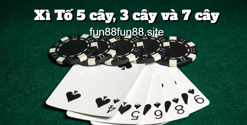 Xì Tố 5 cây, 3 cây và 7 cây