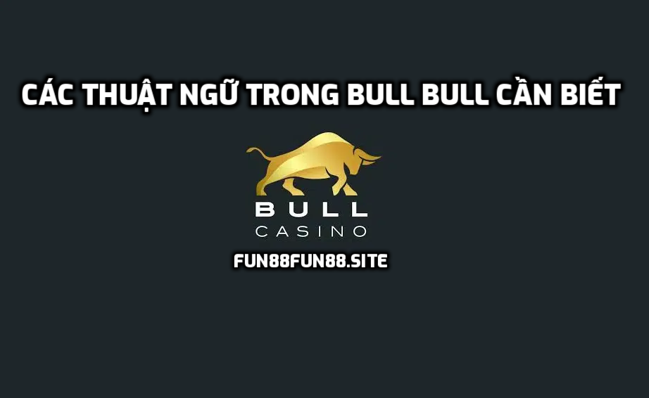 Các thuật ngữ trong Bull Bull cần biết